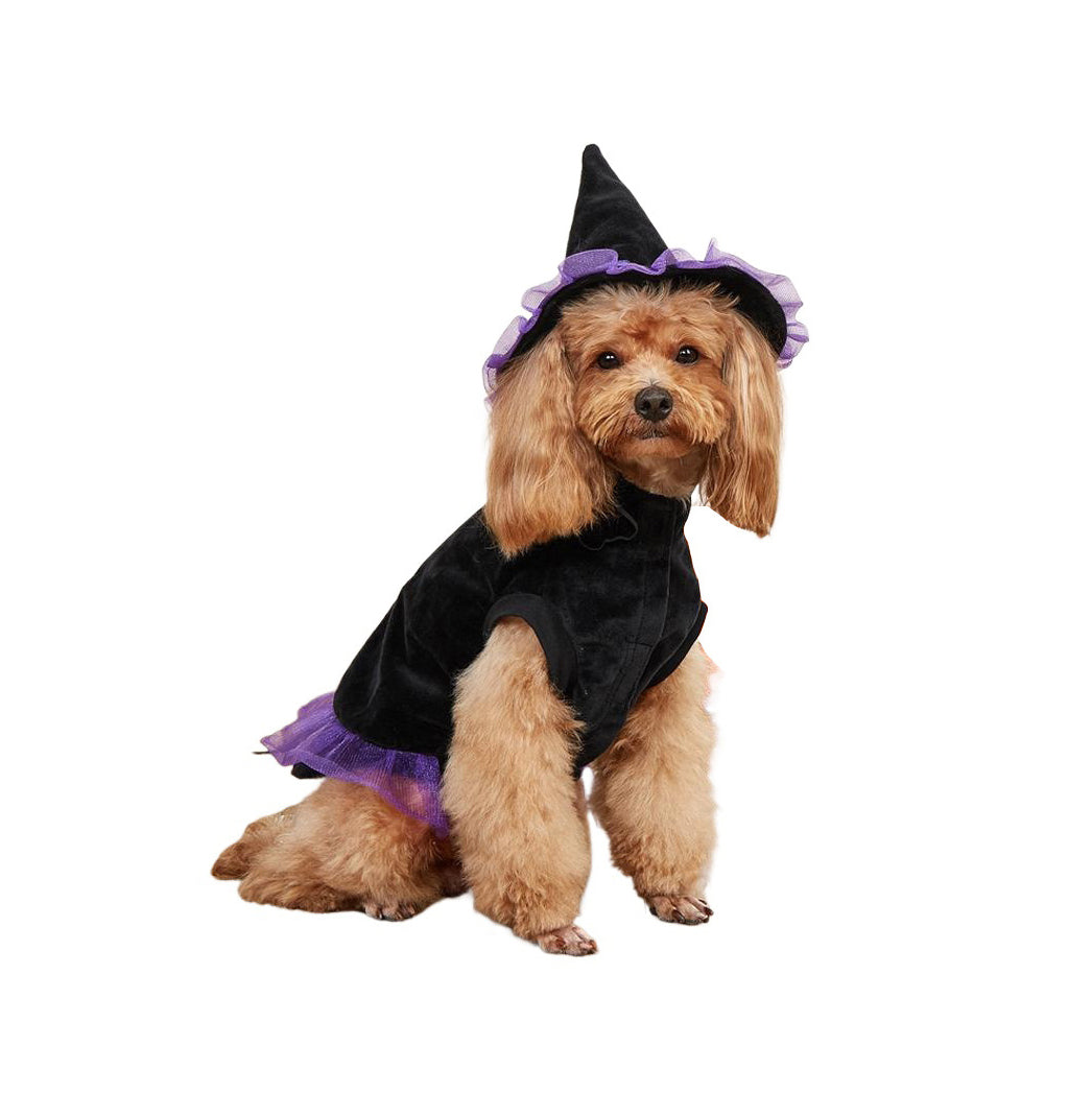 Halloween Costumes for Pet